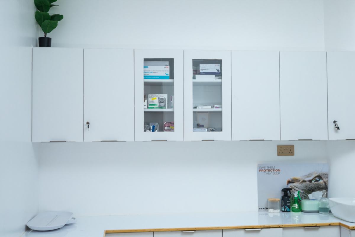 Mobivet Veterinary Clinic gallery photo